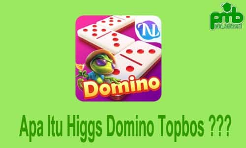 Apa Itu Higgs Domino Topbos ???